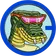 Coin logo