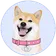 Coin logo