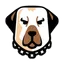 Coin logo