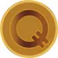 Coin logo