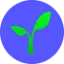 Coin logo