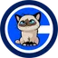 Coin logo